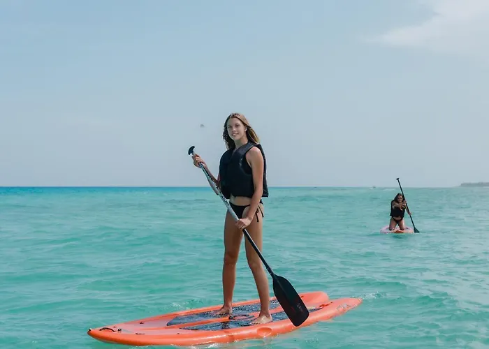 The Reef Playacar &