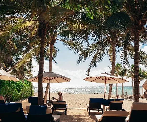 The Reef Playacar & 4* Playa del Carmen