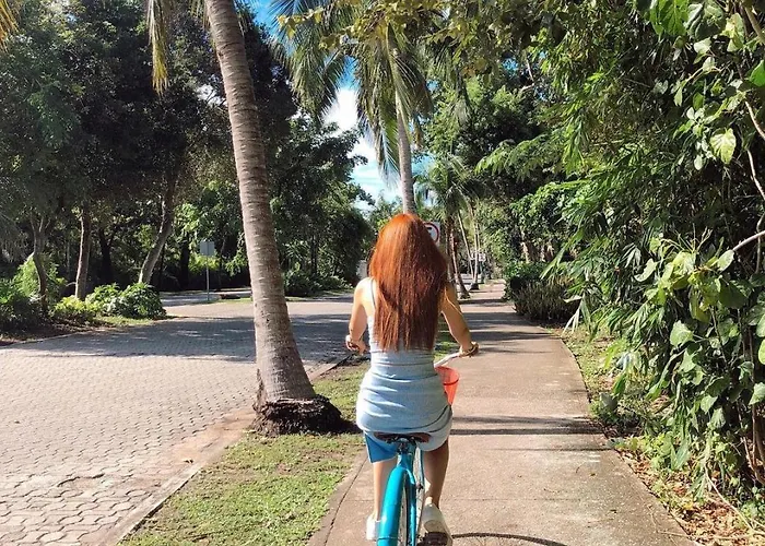 The Reef Playacar &