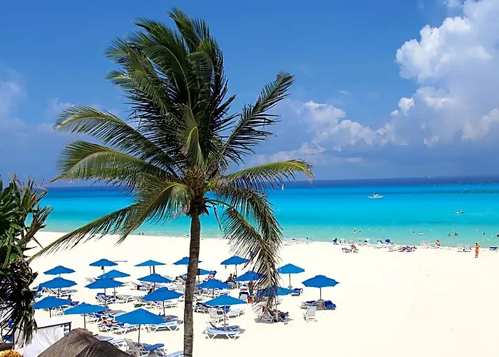 The Reef Playacar &