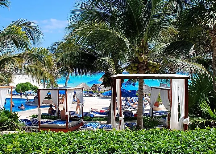 The Reef Playacar & Resort