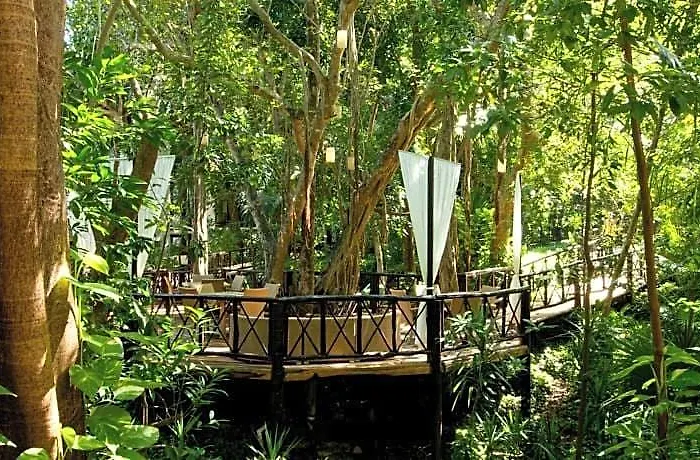 Resort The Reef Playacar & 4*